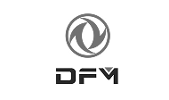 DFM